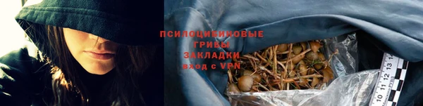 твердый Балахна
