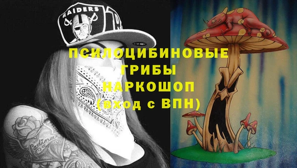 твердый Балахна