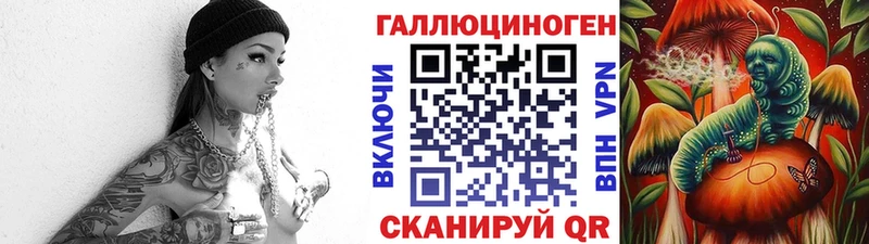 Галлюциногенные грибы Psilocybe Болхов